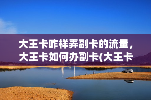 大王卡咋样弄副卡的流量，大王卡如何办副卡(大王卡作为副卡)