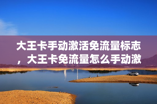 大王卡手动激活免流量标志，大王卡免流量怎么手动激活(大王卡如何激活免流标志)