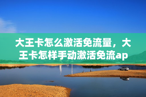 大王卡怎么激活免流量，大王卡怎样手动激活免流app(大王卡如何手动激活免流软件)