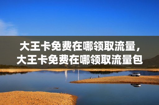 大王卡免费在哪领取流量，大王卡免费在哪领取流量包(大王卡流量领取步骤)