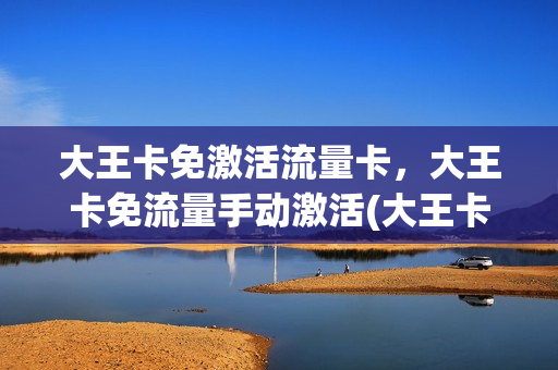 大王卡免激活流量卡，大王卡免流量手动激活(大王卡免流激活步骤)