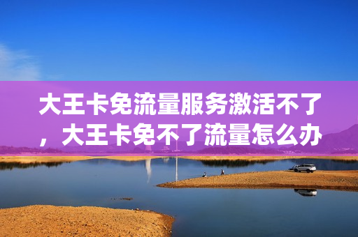 大王卡免流量服务激活不了，大王卡免不了流量怎么办(腾讯大王卡免流激活不了)