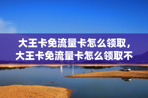 大王卡免流量卡怎么领取，大王卡免流量卡怎么领取不了(大王卡免不了流量怎么办)