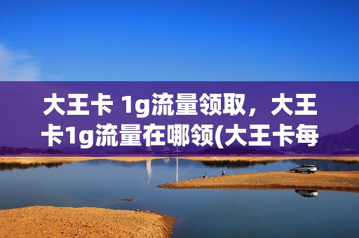 大王卡 1g流量领取，大王卡1g流量在哪领(大王卡每月1g流量领取)