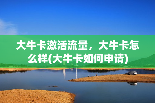 大牛卡激活流量，大牛卡怎么样(大牛卡如何申请)