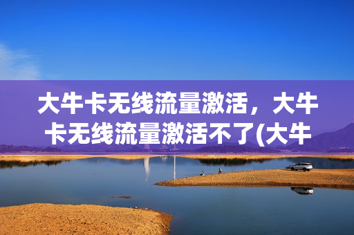 大牛卡无线流量激活，大牛卡无线流量激活不了(大牛卡怎么激活)