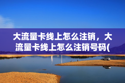 大流量卡线上怎么注销，大流量卡线上怎么注销号码(流量卡能网上注销吗)