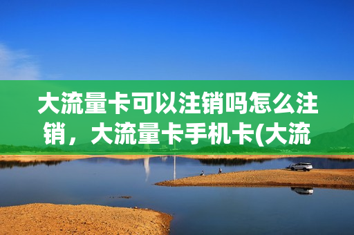 大流量卡可以注销吗怎么注销，大流量卡手机卡(大流量卡的弊端)