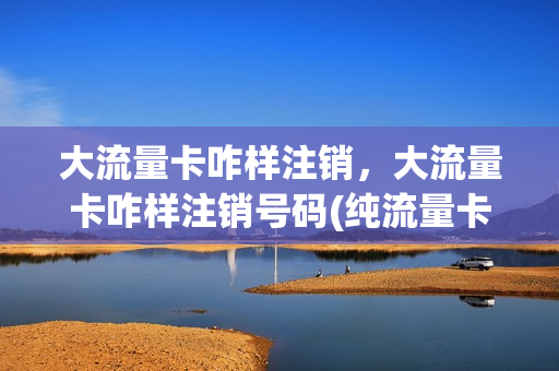 大流量卡咋样注销，大流量卡咋样注销号码(纯流量卡注销麻烦吗)