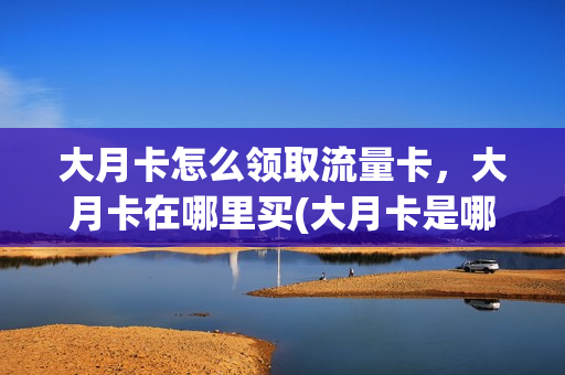 大月卡怎么领取流量卡，大月卡在哪里买(大月卡是哪个游戏先有的)