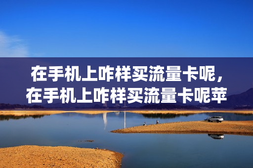 在手机上咋样买流量卡呢，在手机上咋样买流量卡呢苹果(iphone怎么购买流量)