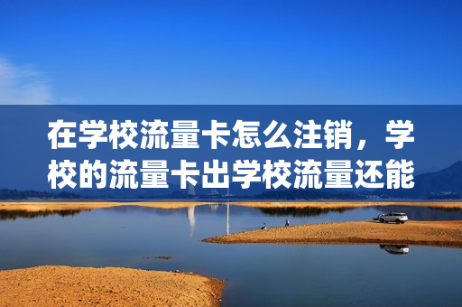 在学校流量卡怎么注销，学校的流量卡出学校流量还能用吗(学校办的流量卡套餐怎样续上)