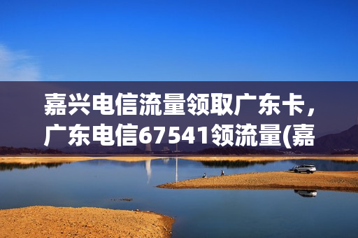 嘉兴电信流量领取广东卡，广东电信67541领流量(嘉兴电信套餐价格表2020)