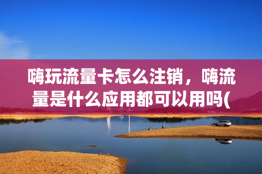 嗨玩流量卡怎么注销，嗨流量是什么应用都可以用吗(嗨购流量怎么用)