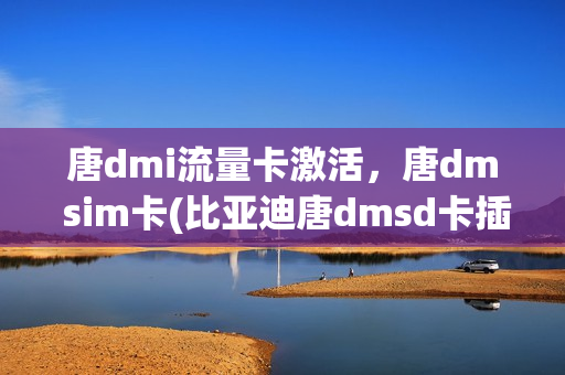 唐dmi流量卡激活，唐dm sim卡(比亚迪唐dmsd卡插哪里)