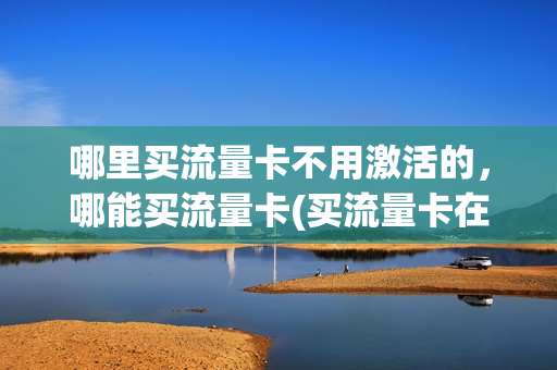 哪里买流量卡不用激活的，哪能买流量卡(买流量卡在哪里买)