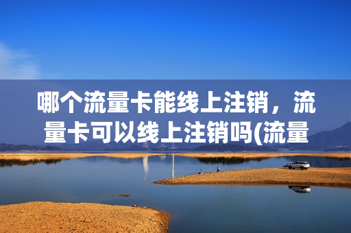 哪个流量卡能线上注销，流量卡可以线上注销吗(流量卡可以去营业厅注销吗)