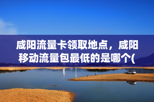 咸阳流量卡领取地点，咸阳移动流量包最低的是哪个(咸阳市移动营业厅能办业务的在哪)