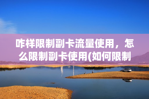 咋样限制副卡流量使用，怎么限制副卡使用(如何限制副卡流量使用)