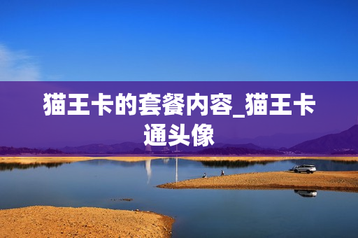 猫王卡的套餐内容_猫王卡通头像
