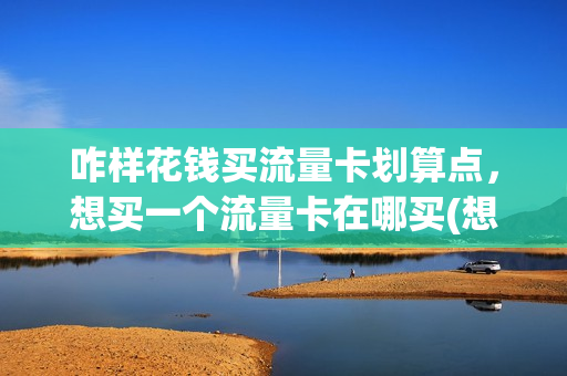 咋样花钱买流量卡划算点，想买一个流量卡在哪买(想买流量卡到什么平台买)