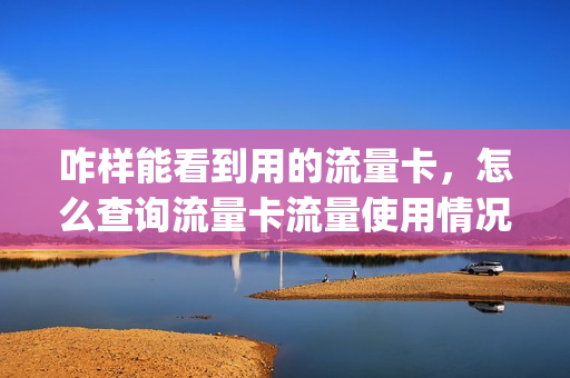 咋样能看到用的流量卡，怎么查询流量卡流量使用情况(如何查询流量卡流量使用情况)