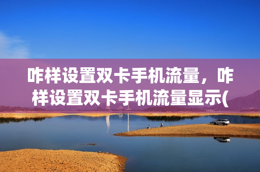 咋样设置双卡手机流量，咋样设置双卡手机流量显示(双卡手机怎样设置流量使用)