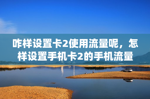 咋样设置卡2使用流量呢，怎样设置手机卡2的手机流量(手机2卡怎么设置流量)