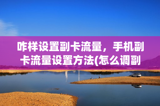 咋样设置副卡流量，手机副卡流量设置方法(怎么调副卡流量)