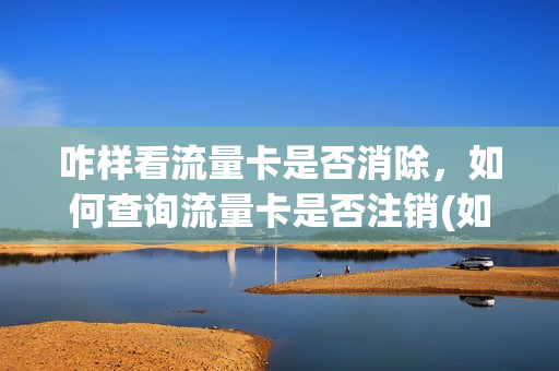 咋样看流量卡是否消除，如何查询流量卡是否注销(如何查询流量卡流量使用情况)