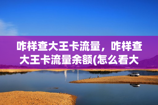 咋样查大王卡流量，咋样查大王卡流量余额(怎么看大王卡的流量)