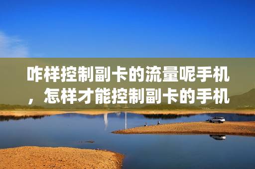 咋样控制副卡的流量呢手机，怎样才能控制副卡的手机流量(如何控制副卡流量)