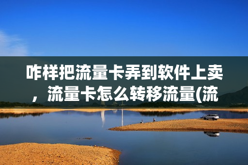 咋样把流量卡弄到软件上卖，流量卡怎么转移流量(流量卡怎么放到手机)