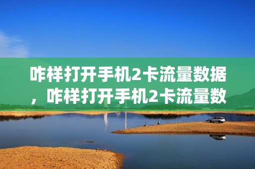 咋样打开手机2卡流量数据，咋样打开手机2卡流量数据显示(设置二卡流量)
