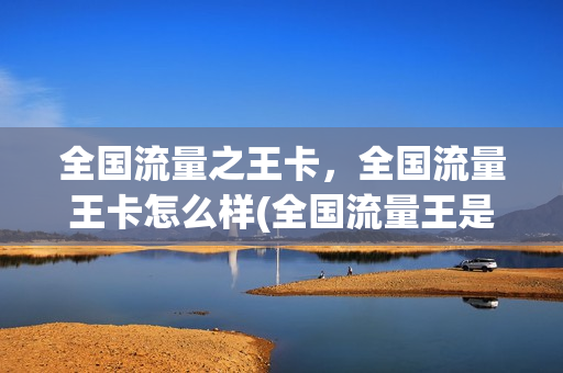全国流量之王卡，全国流量王卡怎么样(全国流量王是什么意思)