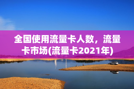 全国使用流量卡人数，流量卡市场(流量卡2021年)