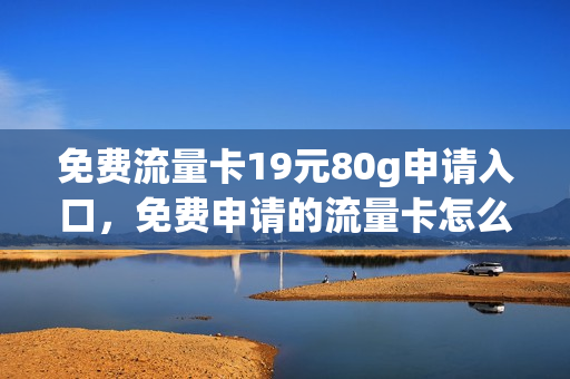 免费流量卡19元80g申请入口，免费申请的流量卡怎么使用(免费流量卡领取100g)