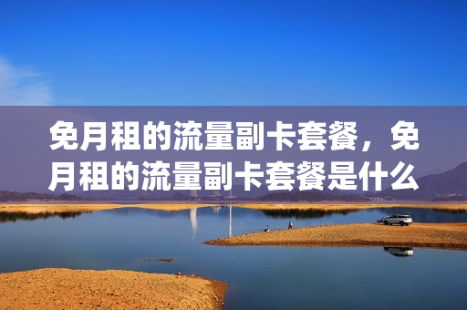 免月租的流量副卡套餐，免月租的流量副卡套餐是什么(主卡免流量副卡会怎样)