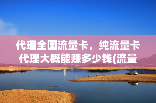 代理全国流量卡，纯流量卡代理大概能赚多少钱(流量卡代理怎么返点步骤)