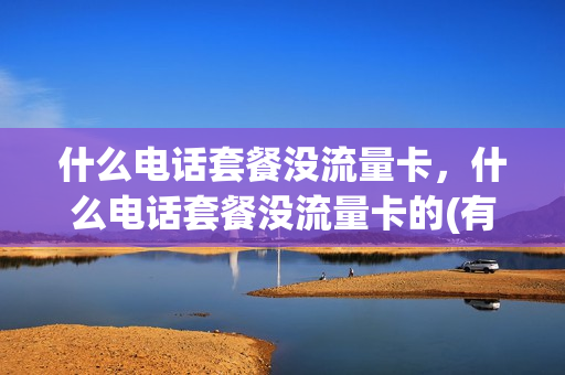 什么电话套餐没流量卡，什么电话套餐没流量卡的(有没有没流量的套餐)