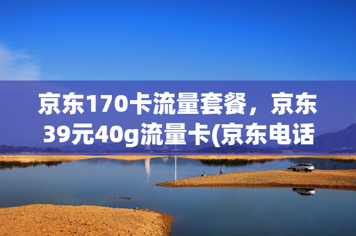 京东170卡流量套餐，京东39元40g流量卡(京东电话卡流量套餐)