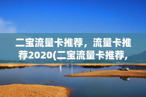 二宝流量卡推荐，流量卡推荐2020(二宝流量卡推荐,流量卡推荐2020版)