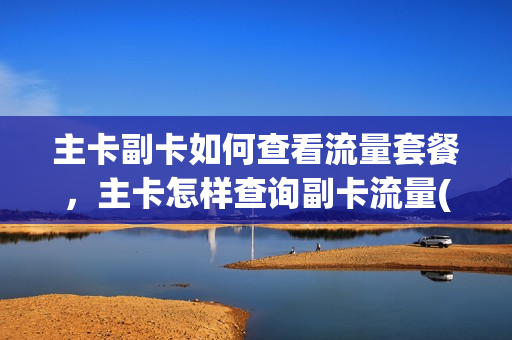 主卡副卡如何查看流量套餐，主卡怎样查询副卡流量(主卡查询副卡的流量详细)