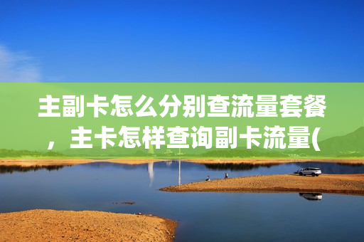 主副卡怎么分别查流量套餐，主卡怎样查询副卡流量(主副卡怎么看流量)