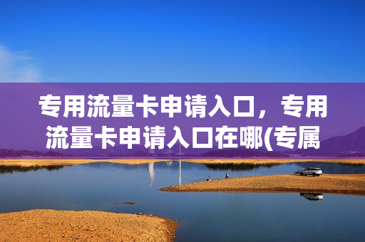 专用流量卡申请入口，专用流量卡申请入口在哪(专属流量卡办理)