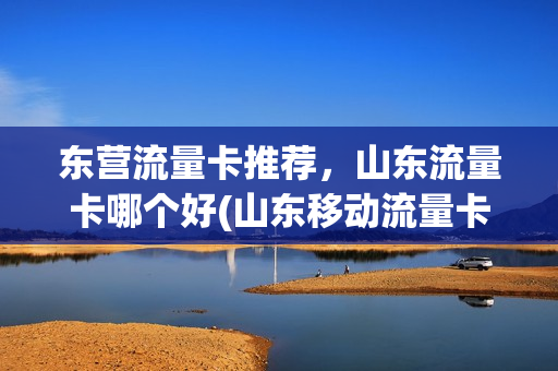 东营流量卡推荐，山东流量卡哪个好(山东移动流量卡哪个最划算)
