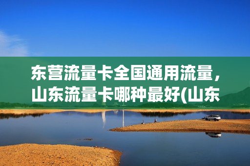 东营流量卡全国通用流量，山东流量卡哪种最好(山东流量卡便宜的套餐)