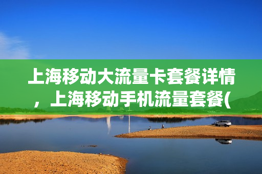 上海移动大流量卡套餐详情，上海移动手机流量套餐(上海移动流量套餐哪种最划算2021)