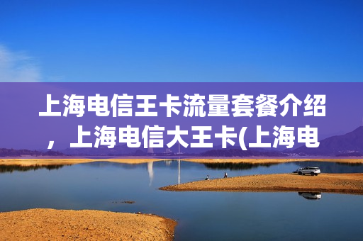 上海电信王卡流量套餐介绍，上海电信大王卡(上海电信上网卡套餐)