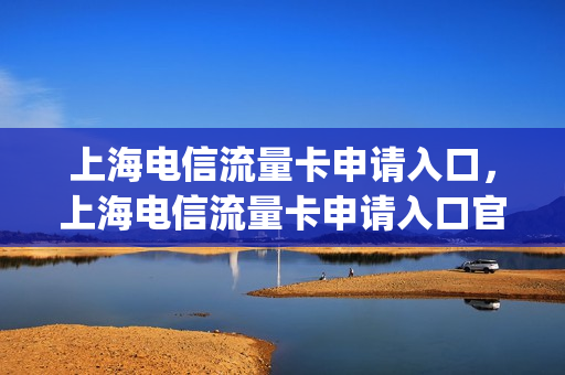 上海电信流量卡申请入口，上海电信流量卡申请入口官网(上海电信 流量卡)